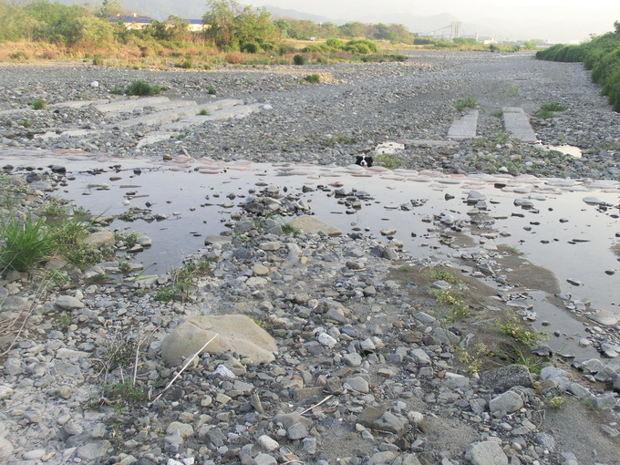 b0239909_22145649.jpg