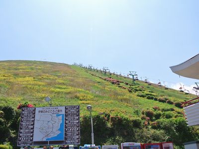 f0006510_18435650.jpg