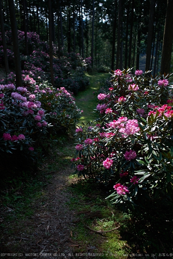 f0221510_1831073.jpg