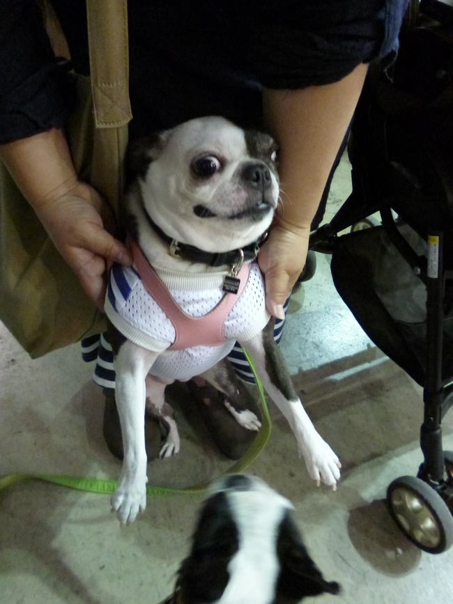 c0280416_3152850.jpg