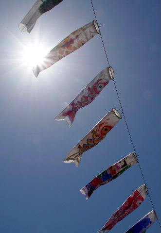 f0212217_1144779.jpg