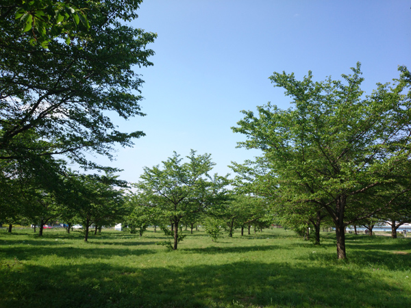 e0071225_36526.jpg
