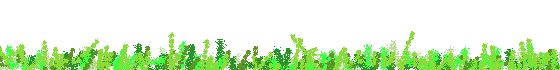 a0098027_16123052.gif