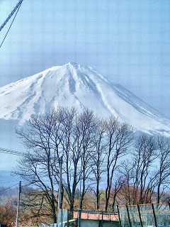 b0102728_19325768.jpg
