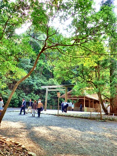 b0102728_203337.jpg