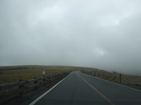a0024829_1323216.jpg