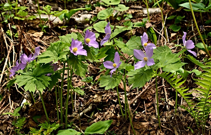 b0236334_9552585.jpg