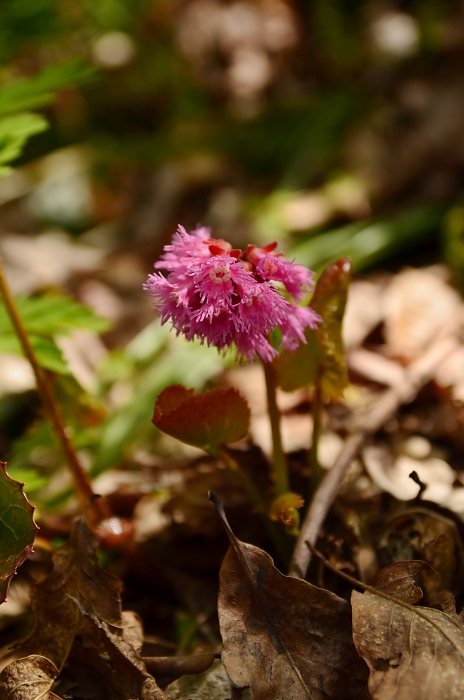 b0236334_955582.jpg