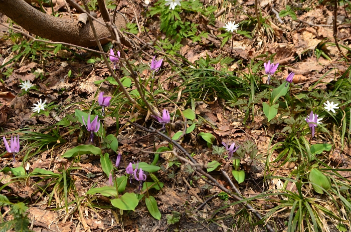 b0236334_9573755.jpg