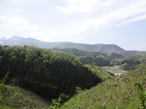 b0149340_14115752.jpg