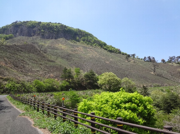 b0149340_14222469.jpg