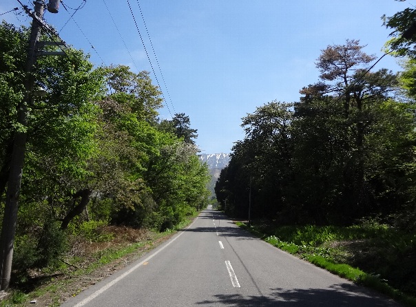 b0149340_1426720.jpg