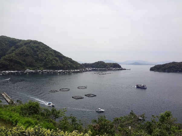 b0149340_204801.jpg