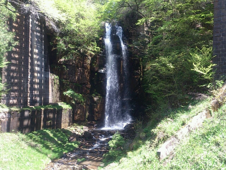 c0295742_13191145.jpg