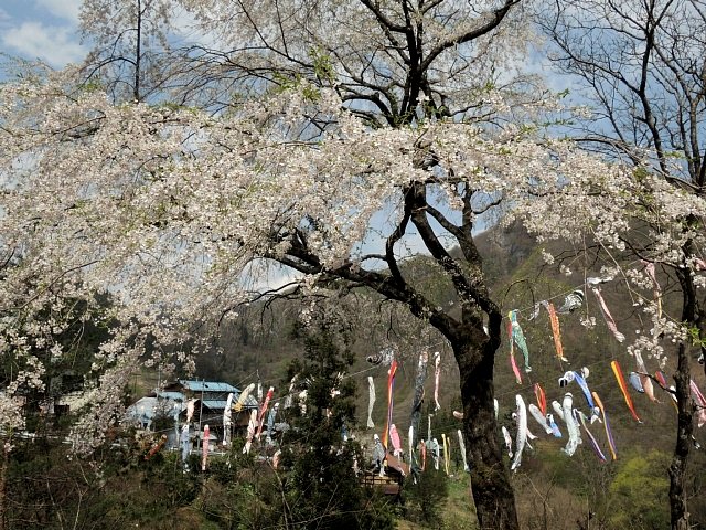 b0122448_1133526.jpg