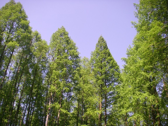 e0014756_9431646.jpg