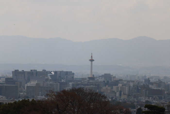 d0152261_0154438.jpg