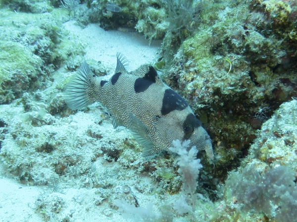 b0062363_17251613.jpg