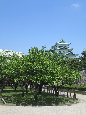 d0029363_1123881.jpg