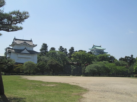 d0029363_1143825.jpg