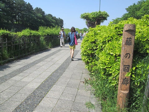 d0029363_1937633.jpg