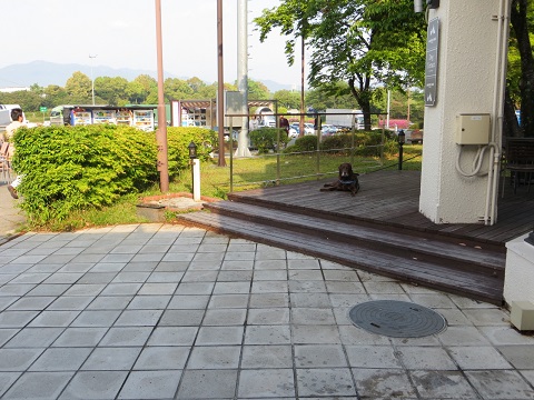 d0120665_22301052.jpg