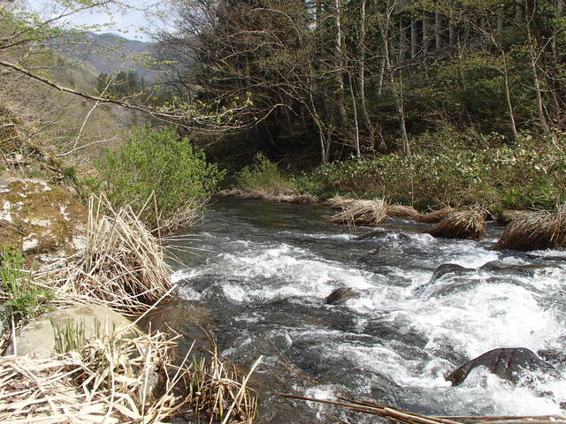 a0093677_21493239.jpg