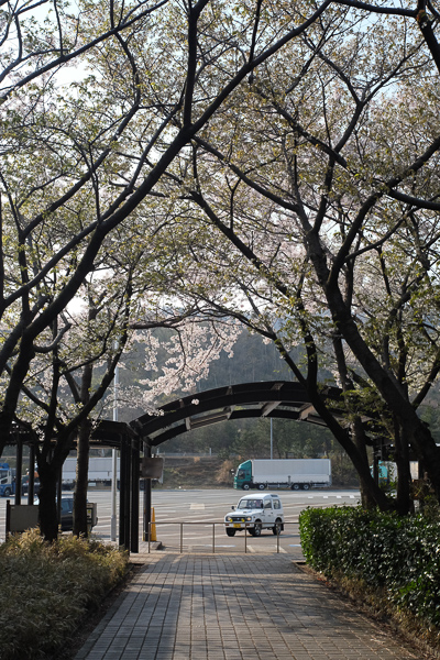 a0053783_0212418.jpg