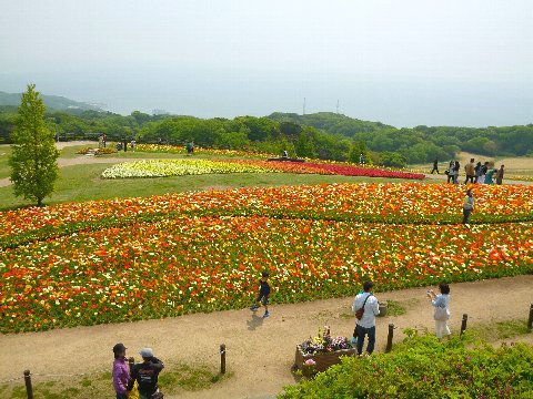 b0075888_1734368.jpg