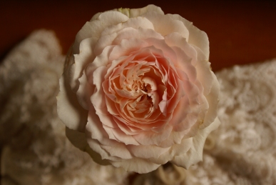 d0166389_1295357.jpg