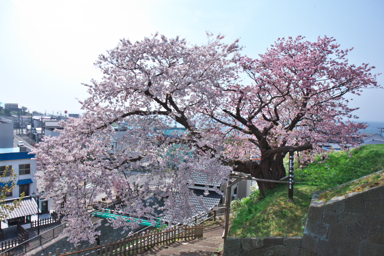 f0294190_2154226.jpg