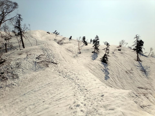 f0125091_2344067.jpg