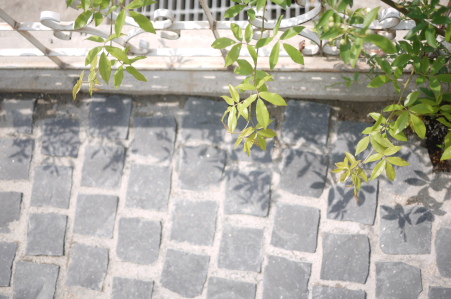 f0161494_11194695.jpg