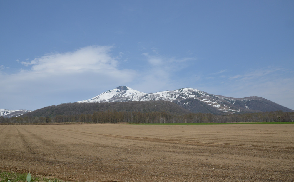 e0134695_20321622.jpg