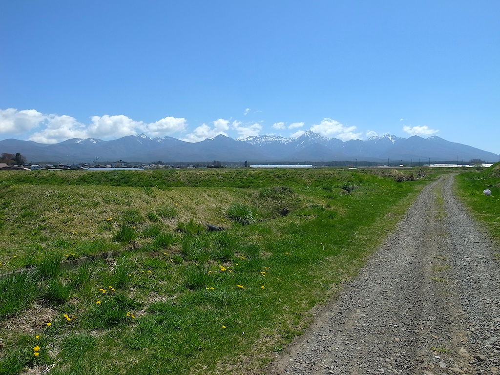 f0108399_10364534.jpg