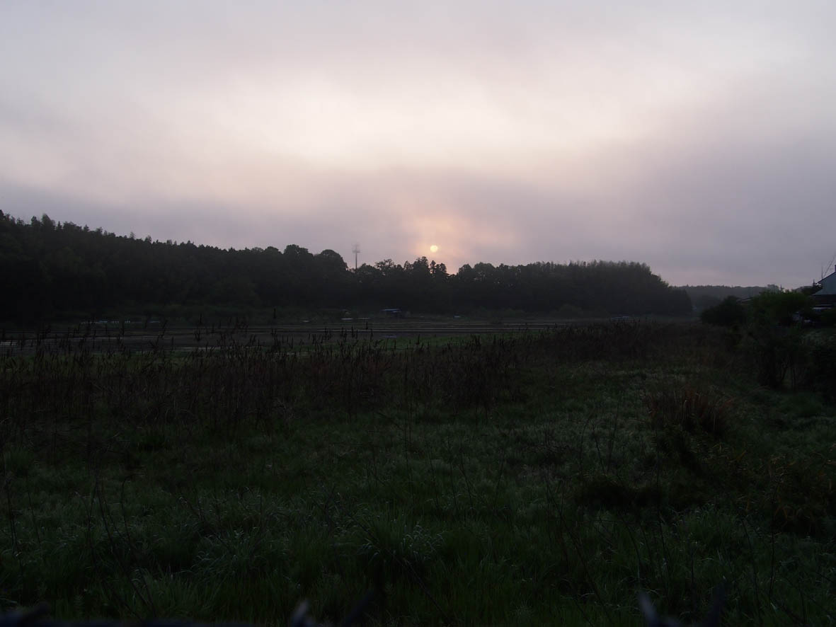 e0064400_8132462.jpg