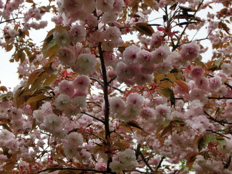 a0203003_8542024.jpg