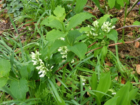 a0203003_8545356.jpg