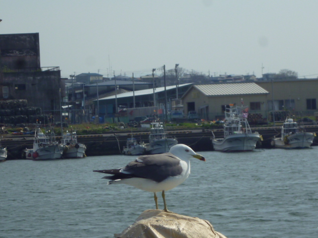 b0222804_2357638.jpg