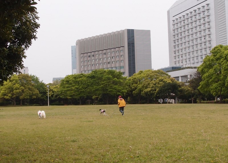 e0018604_09041621.jpg