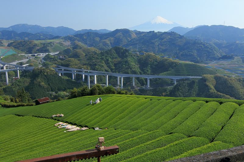 a0188405_8574159.jpg