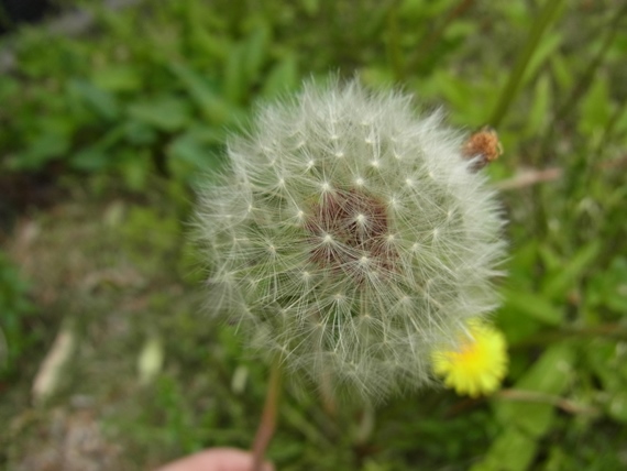 c0205806_7562210.jpg
