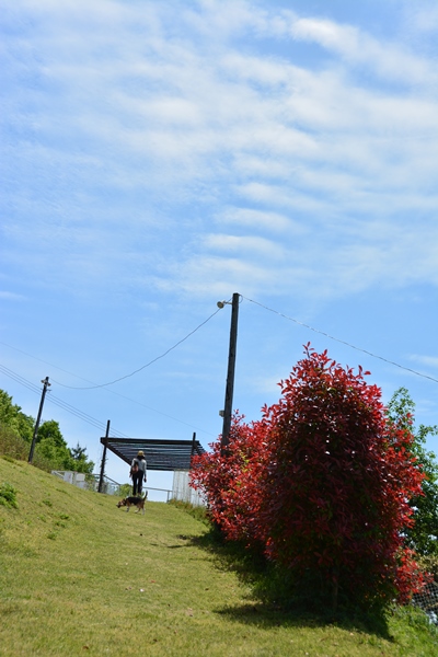 c0205806_823793.jpg