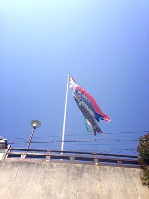 b0250907_5465869.jpg
