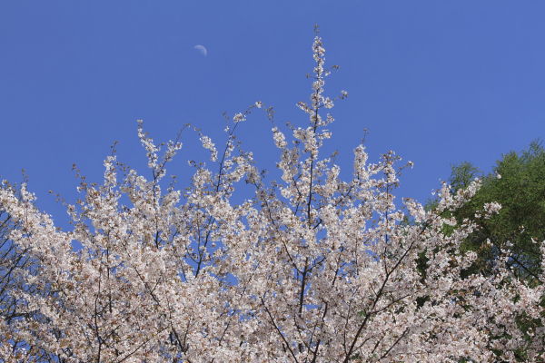 a0251508_2127288.jpg