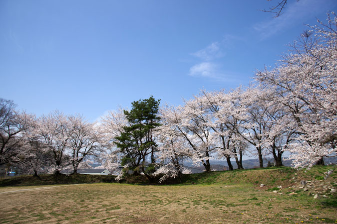 a0263109_2242660.jpg