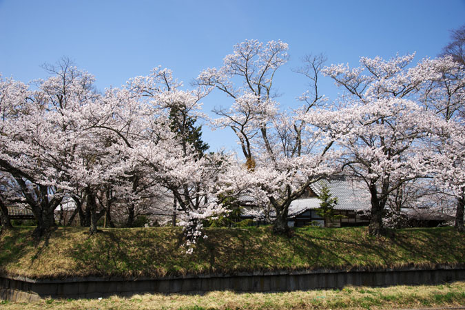 a0263109_2243273.jpg