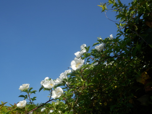 c0062511_2145793.jpg