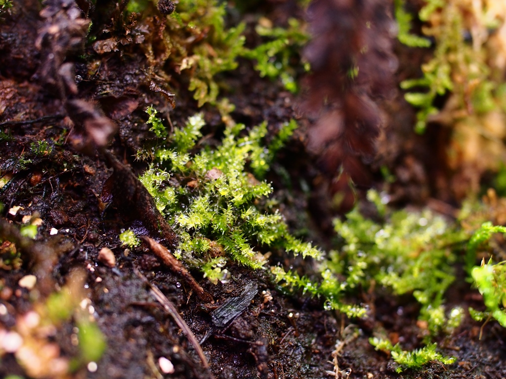 c0156313_1651050.jpg