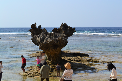 b0121019_20154536.png
